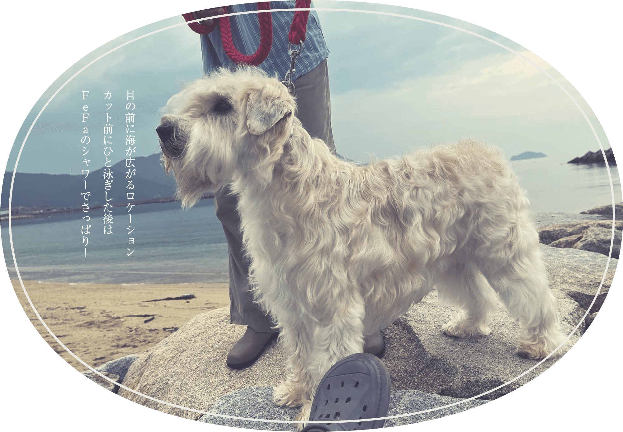 目の前に海が広がるロケーションカット前にひと泳ぎした後はFeFaのシャワーでさっぱり！