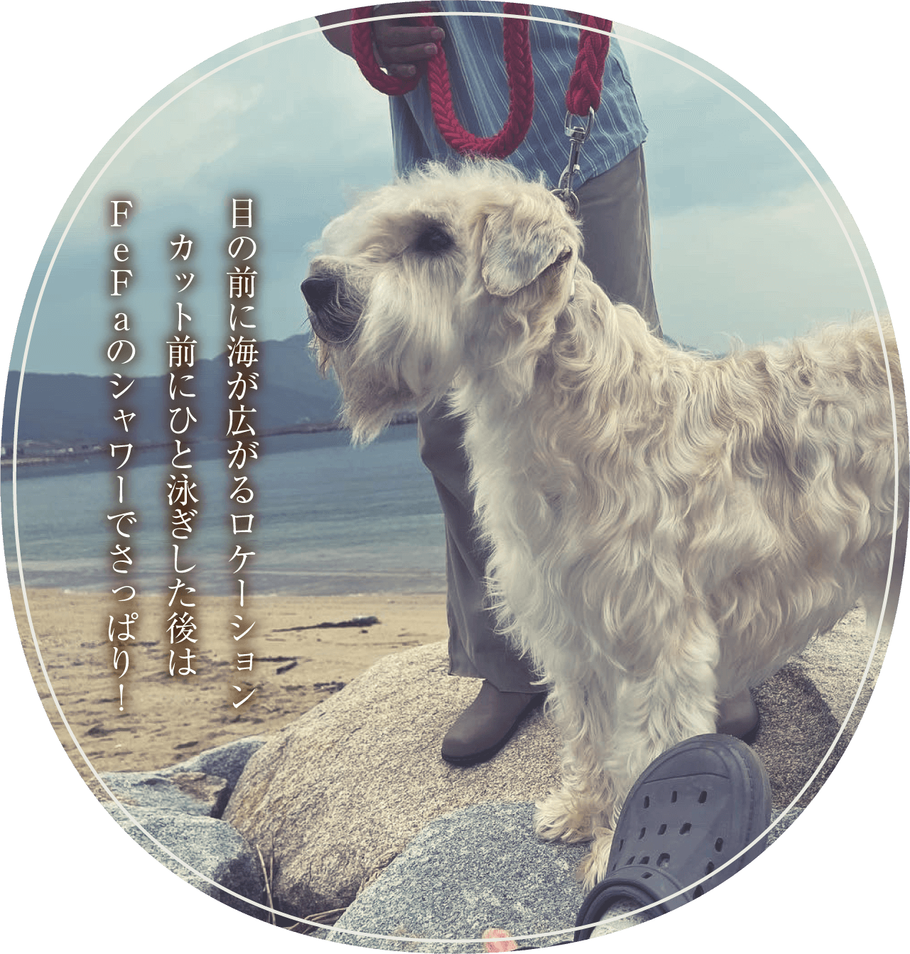 目の前に海が広がるロケーションカット前にひと泳ぎした後はFeFaのシャワーでさっぱり！